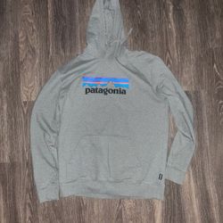 Patagonia Men's Hoodie (Adult-L)