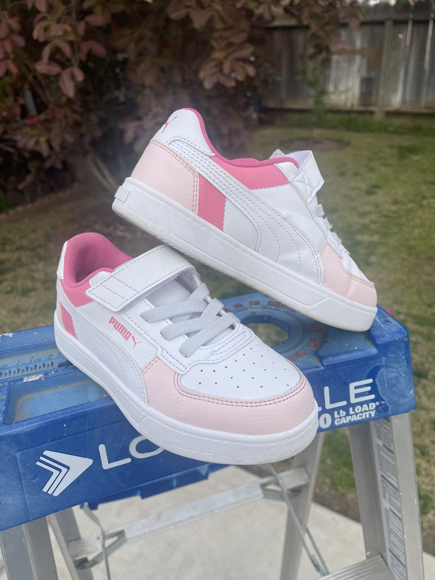 Puma 2c