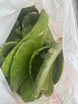 Prickly pear 5.6 lbs spineless catus pads