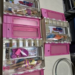 Barbie In The Case 