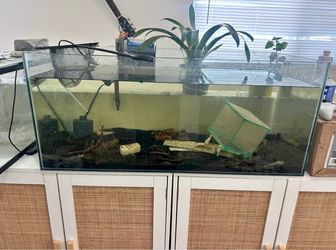Rimless 40g tank