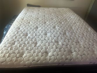 Free Queen Size Mattress