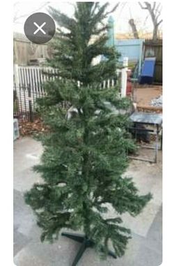 6ft basic tree ...