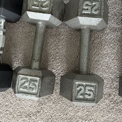 Dumbbell Set 25lbs