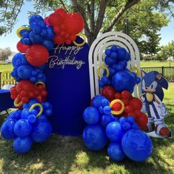 Sonic Theme Birthday Decor