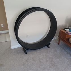 One Fast Cat Exercise Wheel