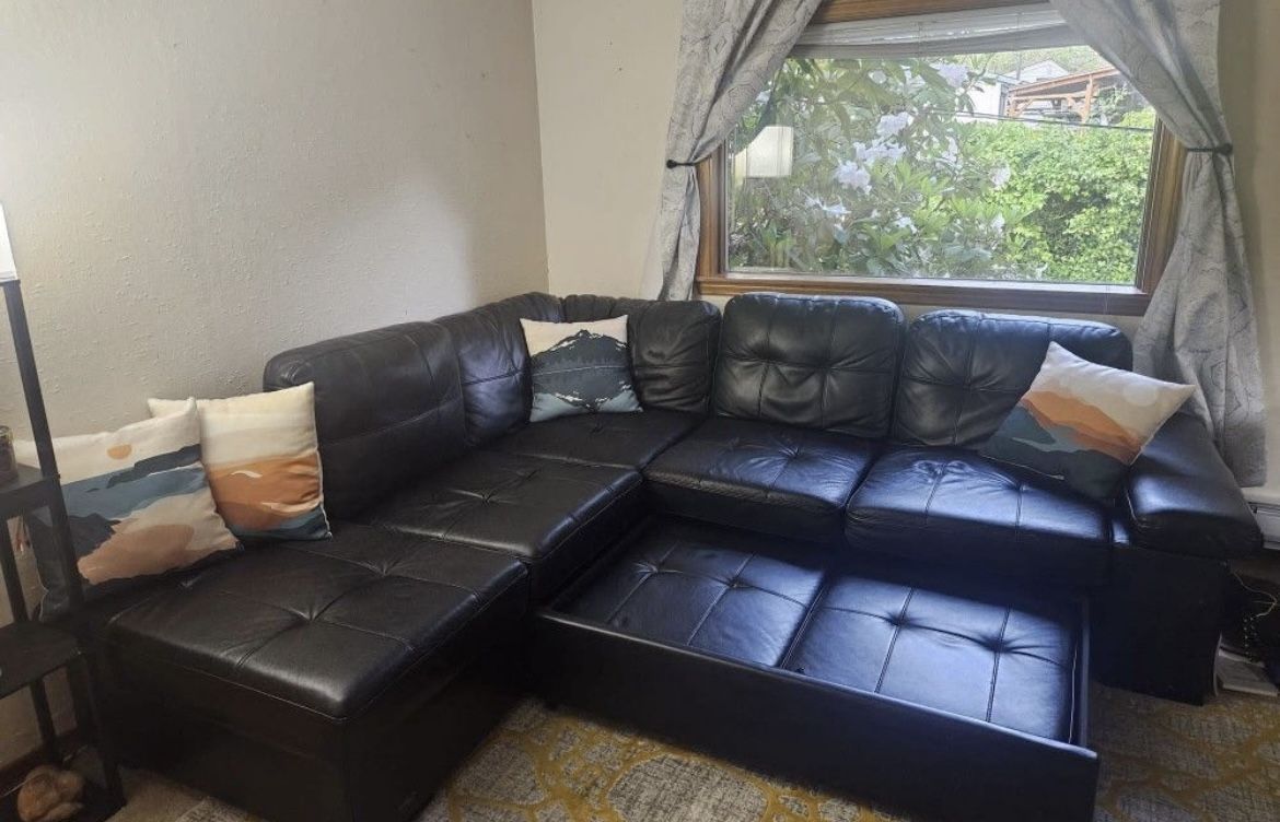Sectional Couch