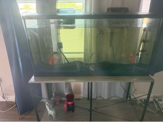 I sale tank Fish
