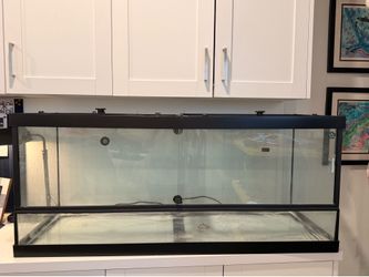 Reptile Tank