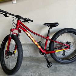 Specialized Rip Rock Bike