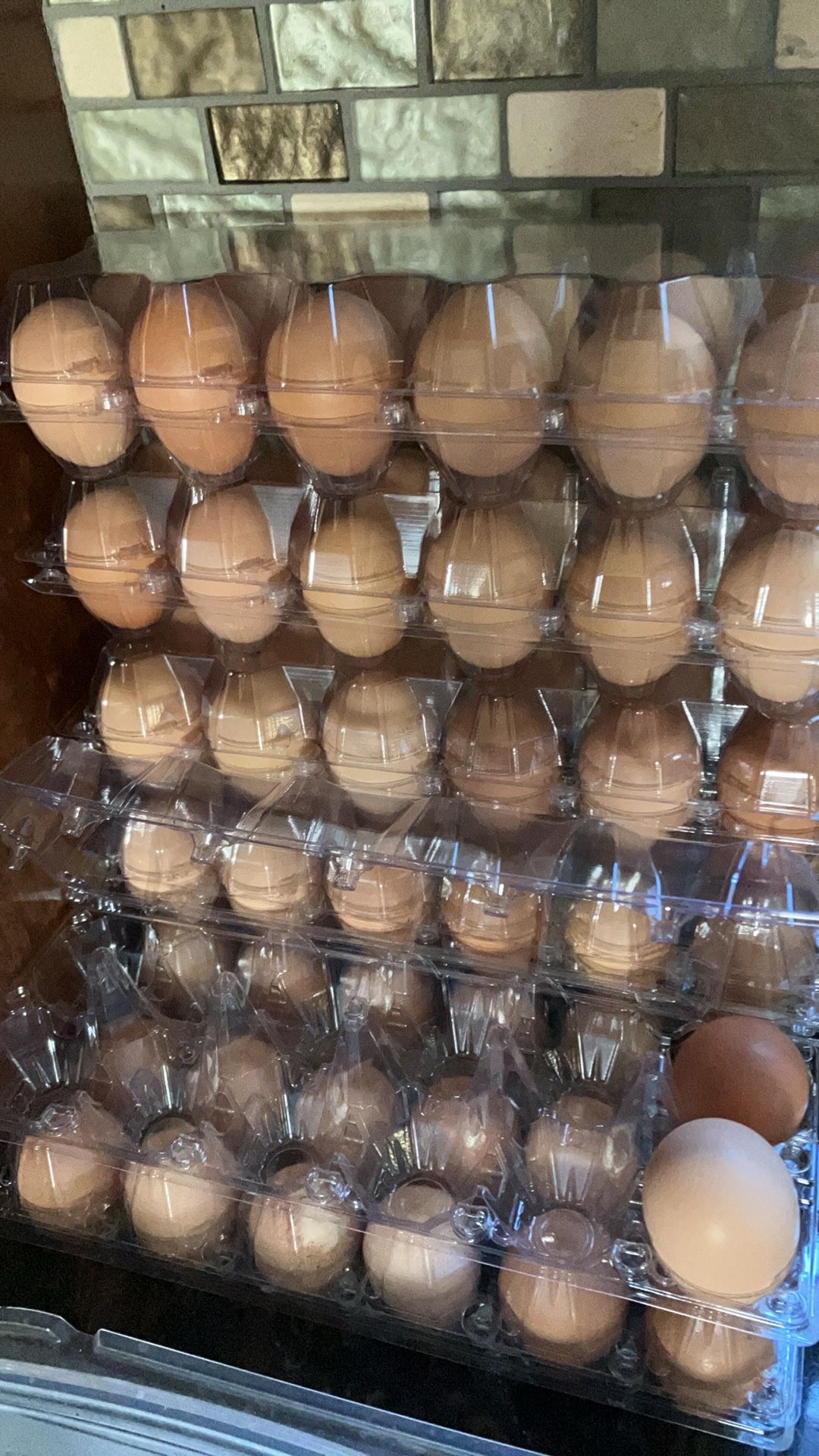 Fresh Eggs $8 A DOZEN