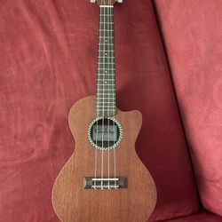 guitarra cordoba