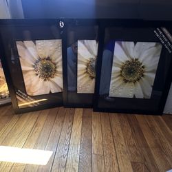 Picture Frames 