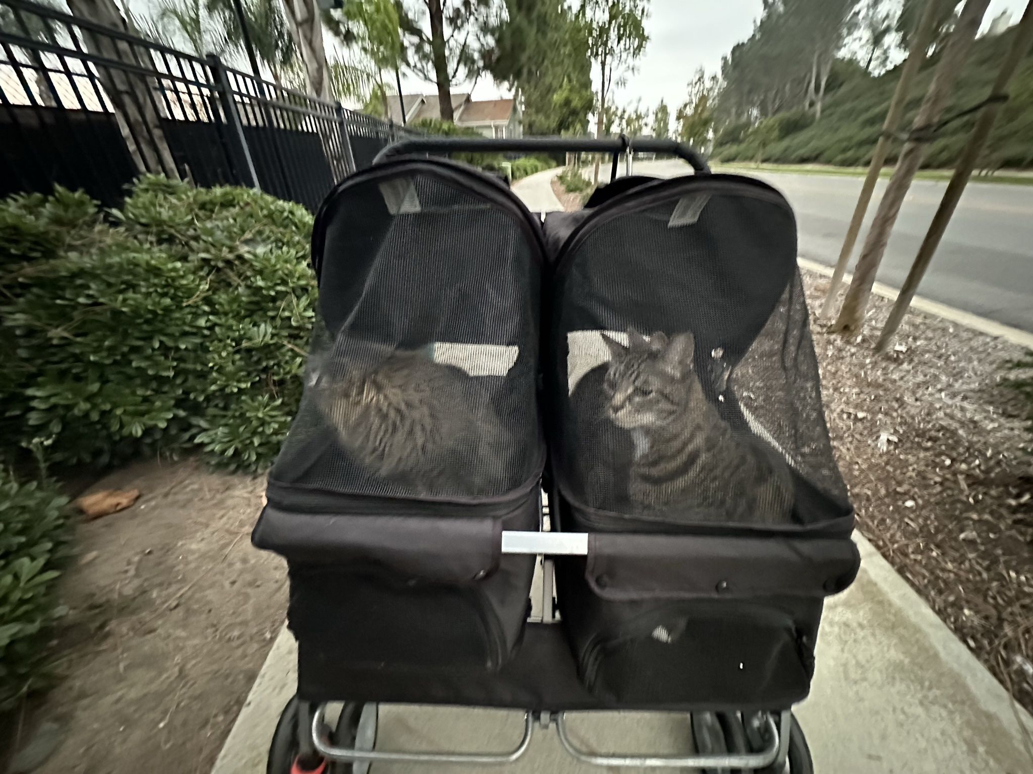Paws & Paws Double Pet Stroller For Small Dogs And Cats
