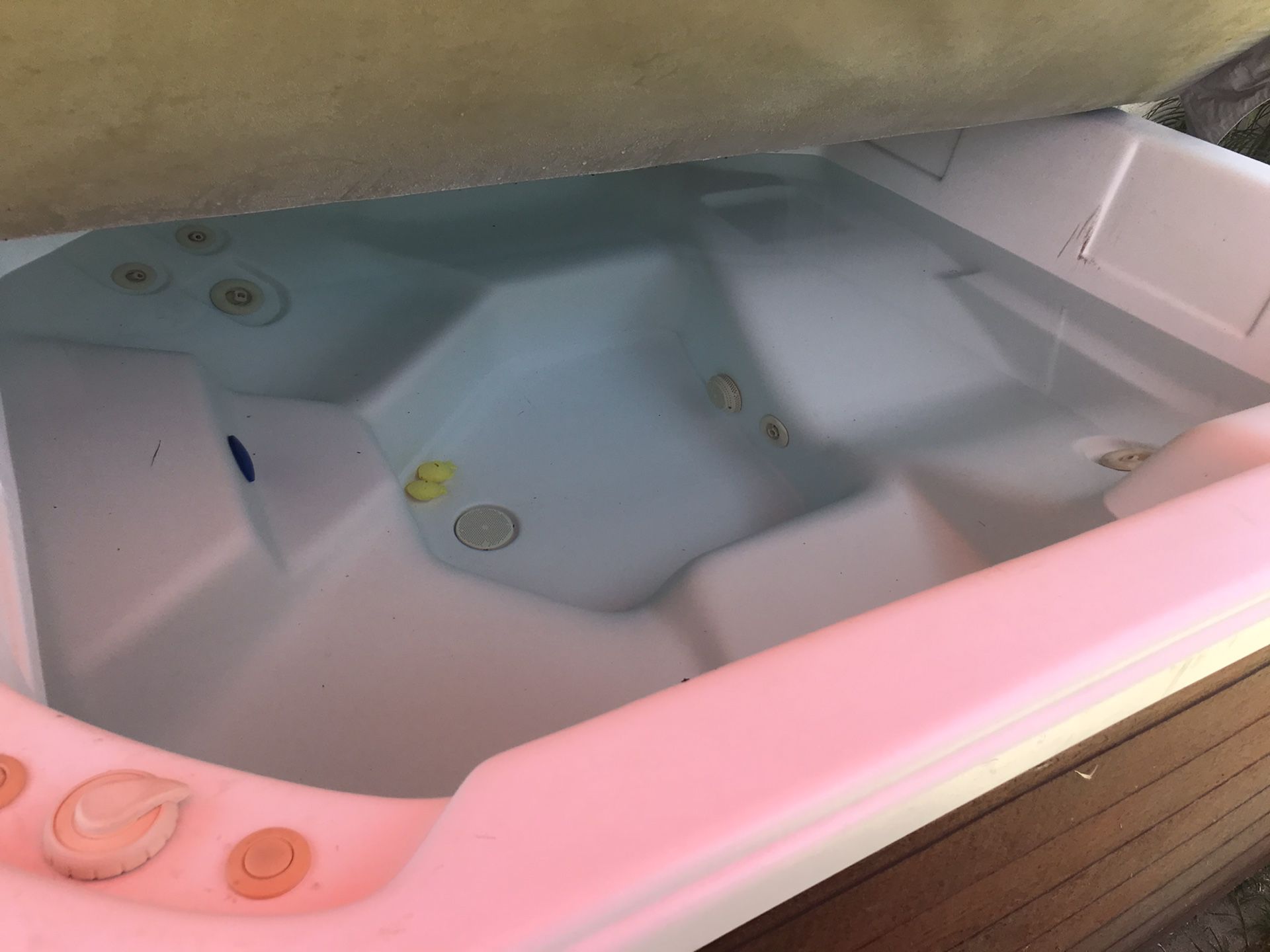 Jacuzzi Spa Hot Tub - FREE