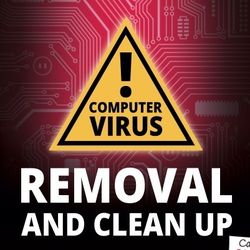 Computer / Laptop Virus Removal 