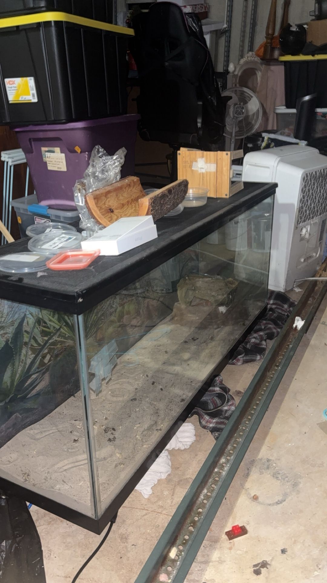 Lizard tank with bowls hides and heat light
