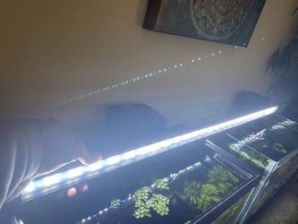 Fluval Aqua sky Led 48inch Light Only