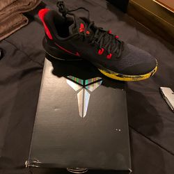 Mamba Kobe Bryant Nike Fury