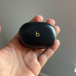 Beats Case Only 
