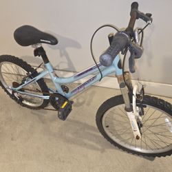 Speed Cross Country Q195 XC Ground Assault Road Master Granite Peak Kids Bicycle 