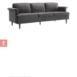 Couch/ Sofa