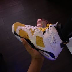 jordan 6s