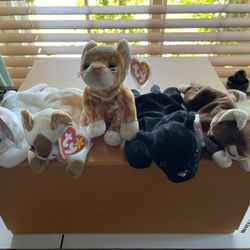 Ty Beanie Baby’s