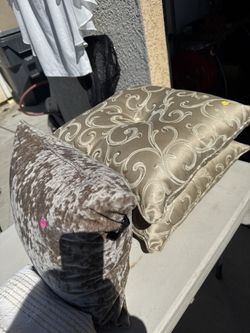 Set De Platos Con Tazas Y Cojines