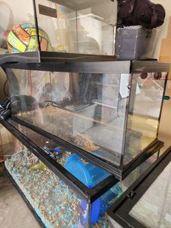 20 gallon top open tank