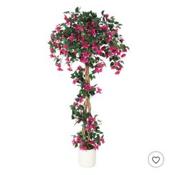 Beautiful realistic bugambilia tree