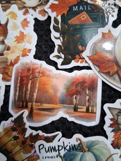 Autumn Vinyl  stickers  -all 50 for $8