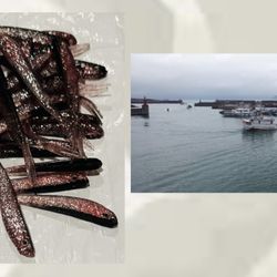 400 Bionic Fish Silicone Fishing Lure Soft Baits 3D Eyes