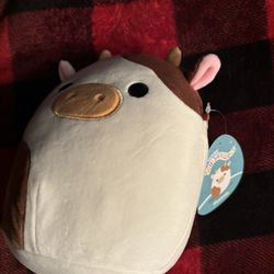 cam squishmallow new with tags 