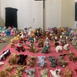 Beanie Baby’s Collection 