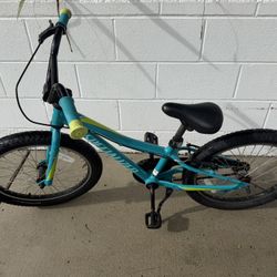 Specialized 20 Inch Rip Rock Bike