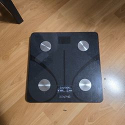 Weight Scaler 