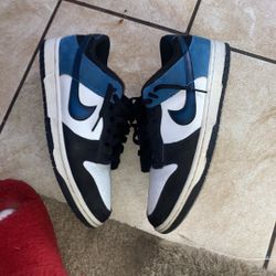 Size 9.5 Nike Dunks 