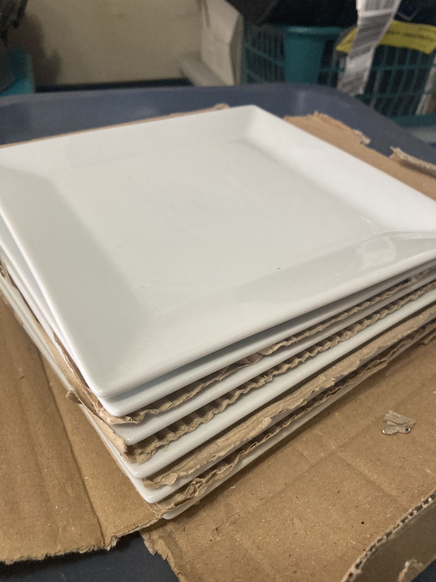 Plates - Salad