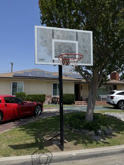 Basketball Court
