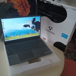 Gateway 15.6 Ultra Slim Notebook/Windows 11