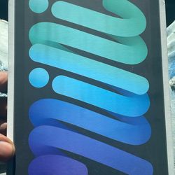 iPad Mini 