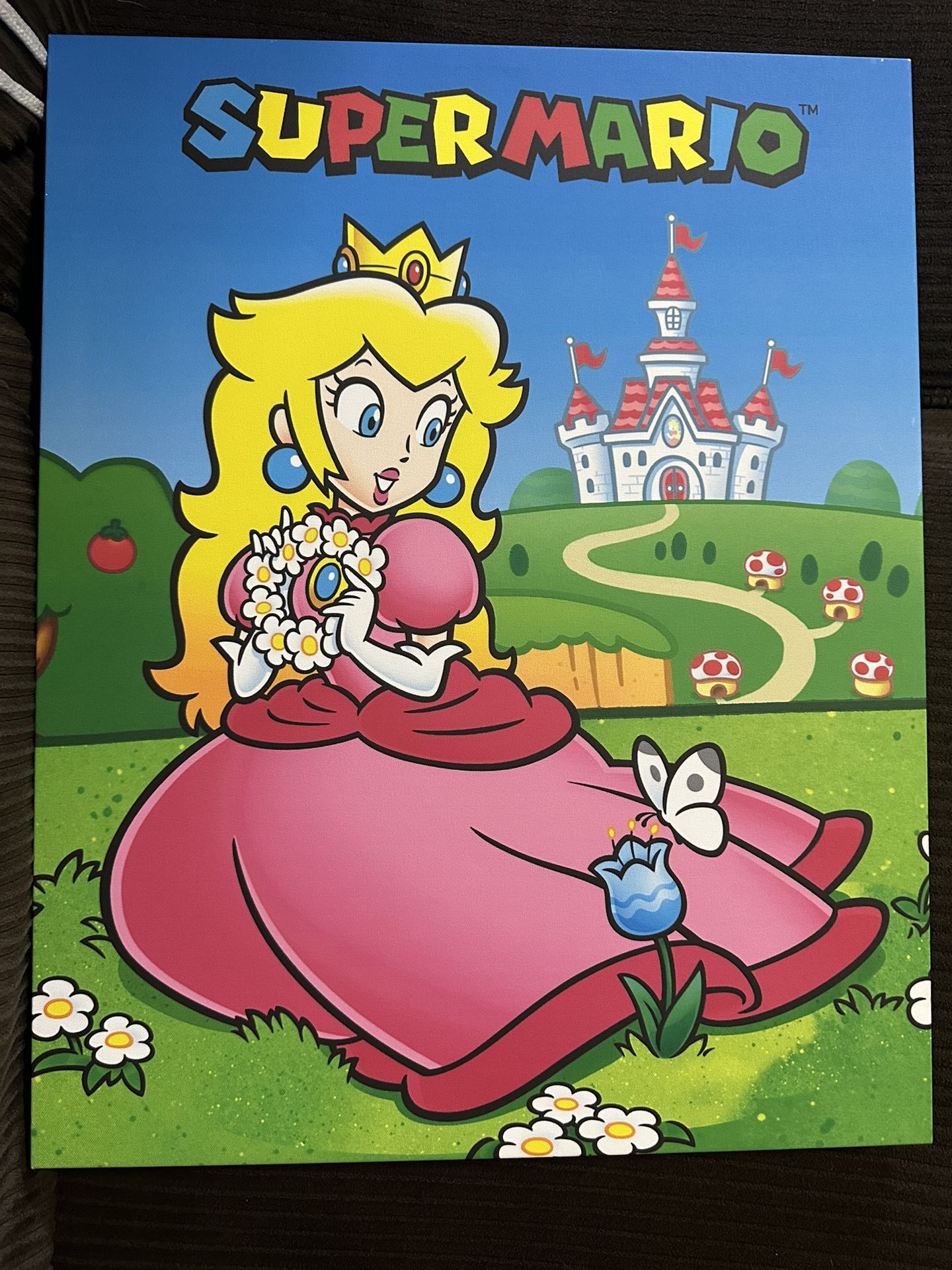Super Mario Wall decor