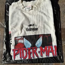 Swinging through chaos American Classic civil regime 