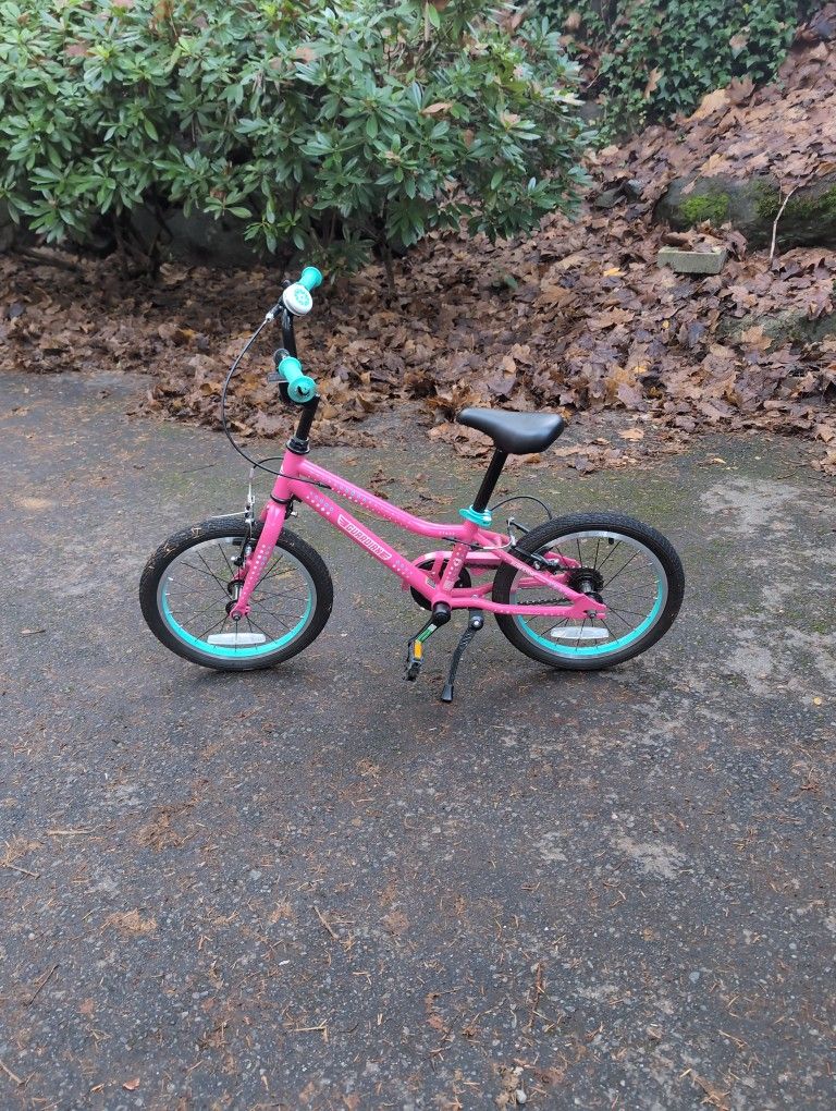 Guardian Pink 14 Inch Bike With Aqua Grips And Bell