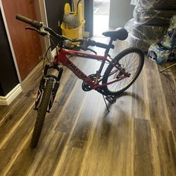 Mountain Bike