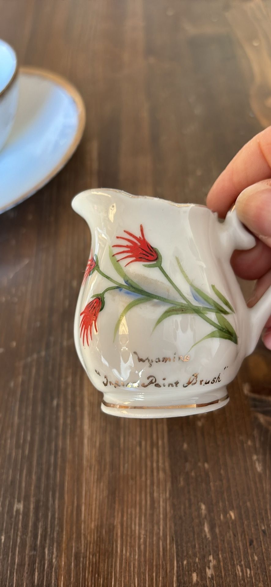 4 Pieces Vintage Handpainted Cup, Saucer, Creamer, Sugar Wyoming Indian Paint Brush