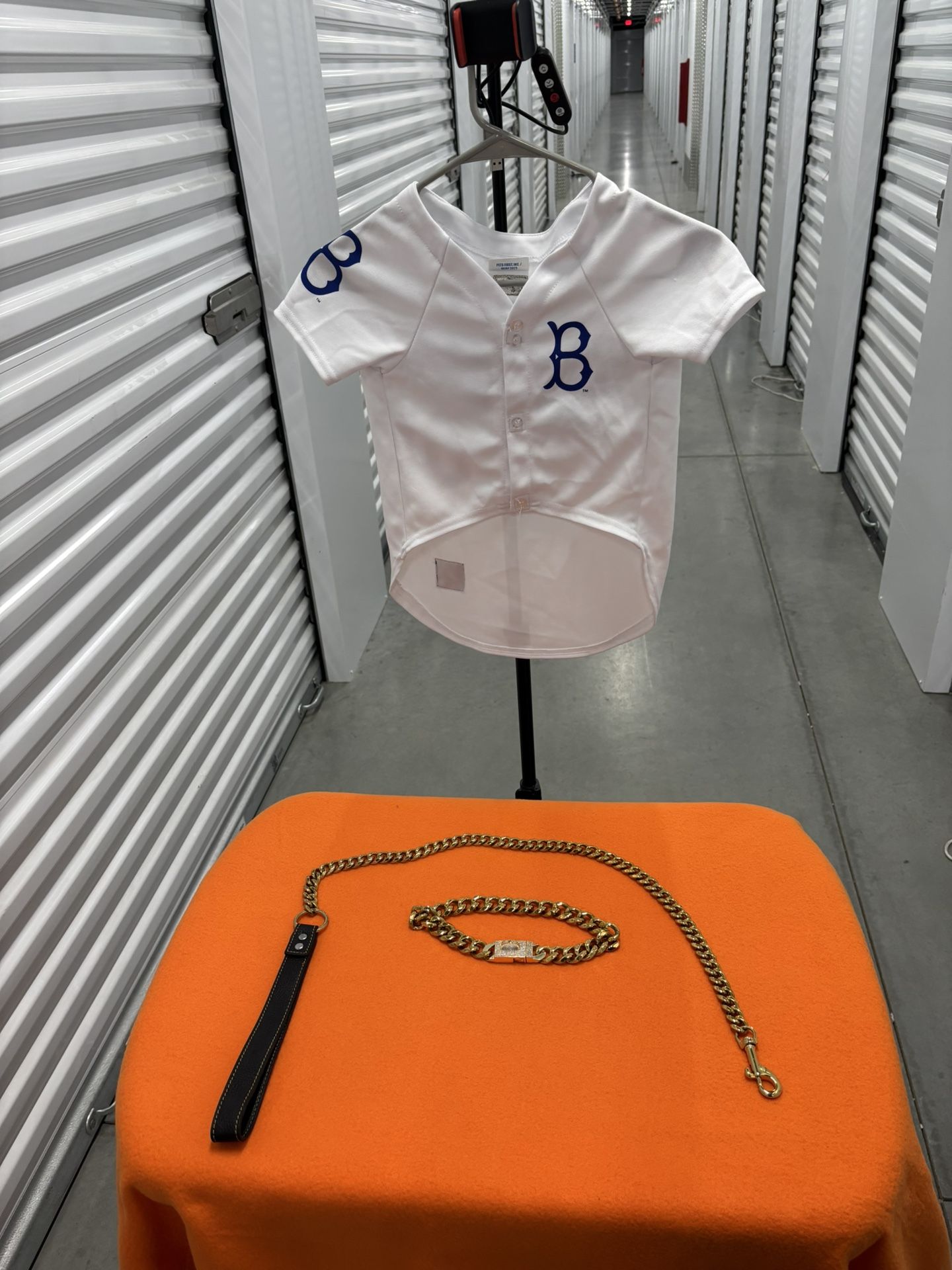 Jersey, Leash And Collar For Dog