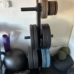 Titan Fitness Weight Rack