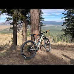 Giant Fathom 1 2022 29er Medium